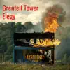 Aysedeniz Gokcin - Grenfell Tower Elegy - Single